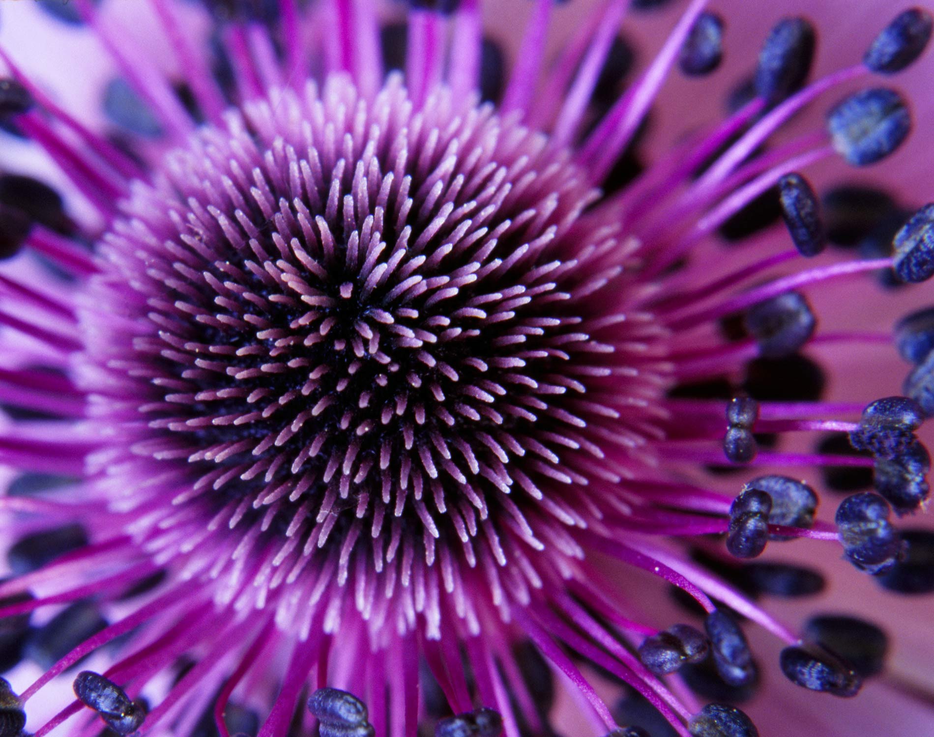 Key immigration updates to UK visitor rules UK People Reward and