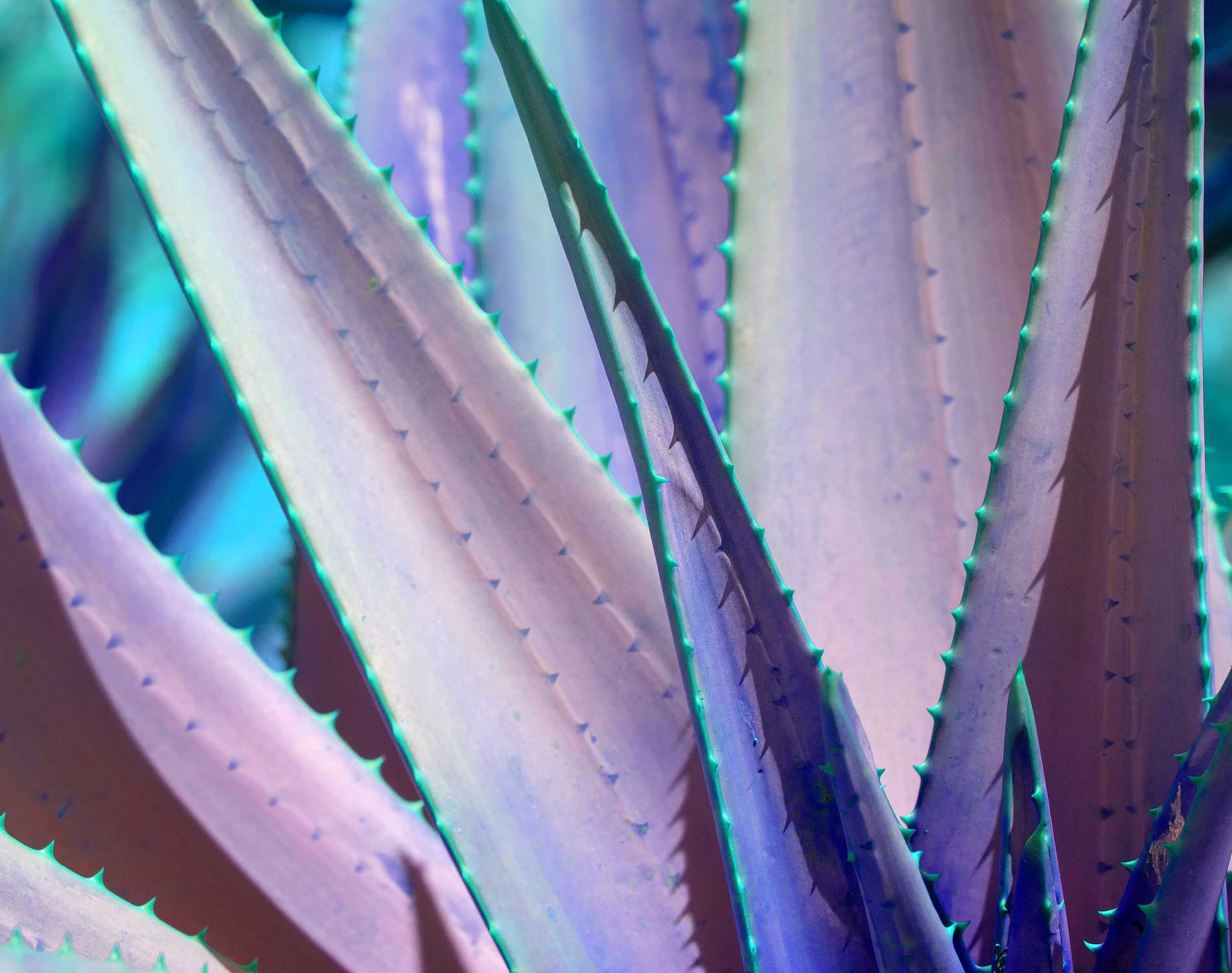 "Menopause and the workplace how to enable fulfilling working lives" government response UK